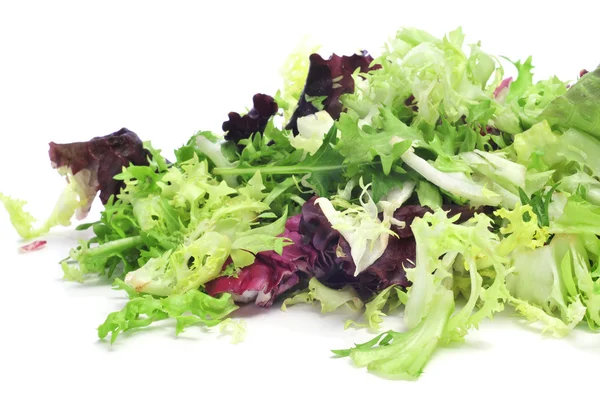 Salatmischung — Stockfoto