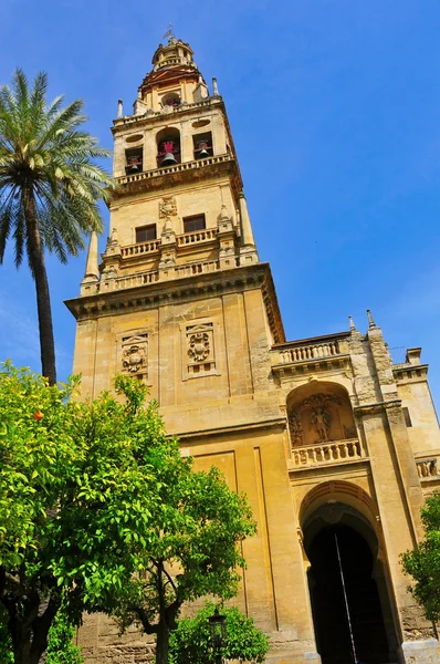 Domkyrkan moskén i cordoba, Spanien — Stockfoto