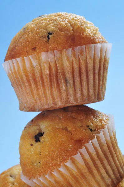 Gewone muffins met chocolade chips — Stockfoto