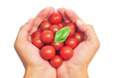 Cherry tomatoes clipart