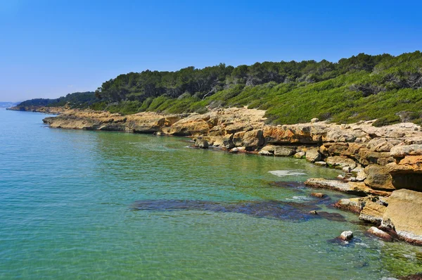 Zatoczek bosc de la marquesa, tarragona, Hiszpania — Zdjęcie stockowe