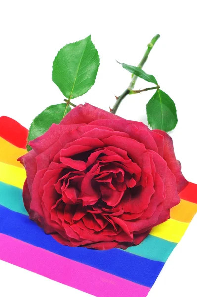 Rose rouge sur un drapeau arc-en-ciel — Photo