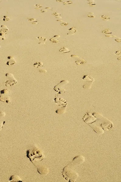 Stopy v písku — Stock fotografie