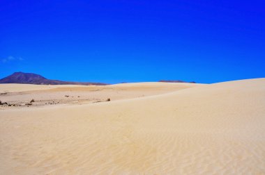 Natural Park of Dunes of Corralejo in Fuerteventura, Spain clipart