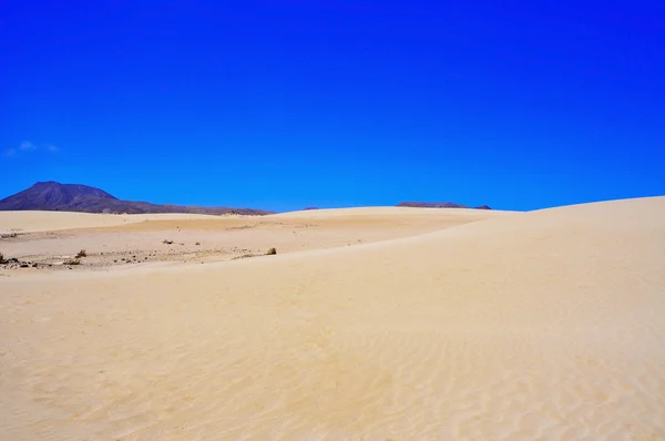 Natural Park of Dunes of Corralejo in Fuerteventura, Spain — Stock Photo, Image
