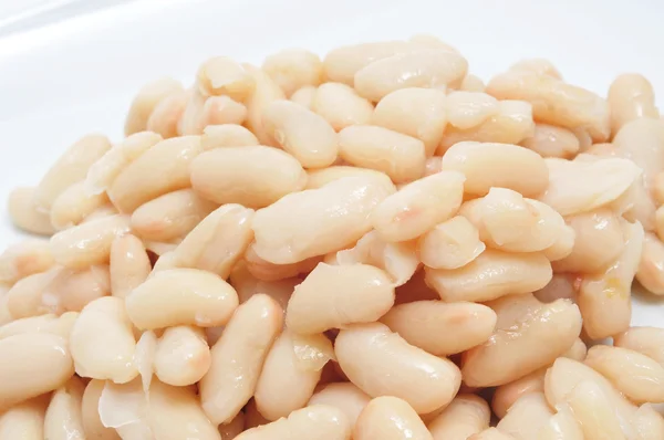 White beans — Stock Photo, Image