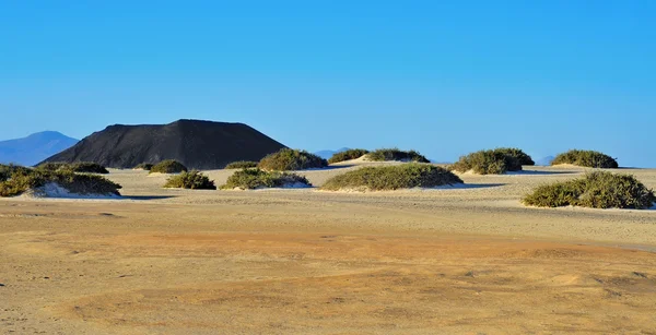 Parque Natural do Corralejo em Fuerteventura, Espanha — Fotografia de Stock