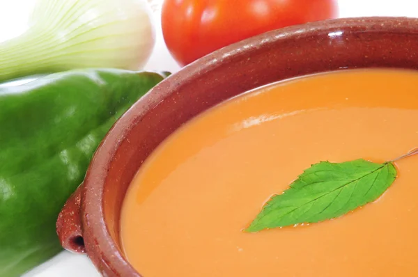 Spanish gazpacho — Stock Photo, Image