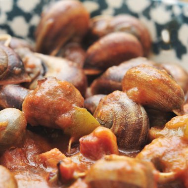 Spanish cooked snails in sauce clipart