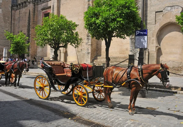 stock image Carriages in Seville, Spain