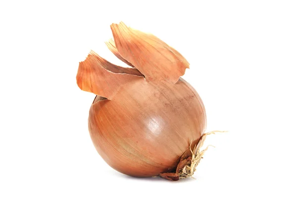 A brown onion isolated on white background — Stock Photo, Image