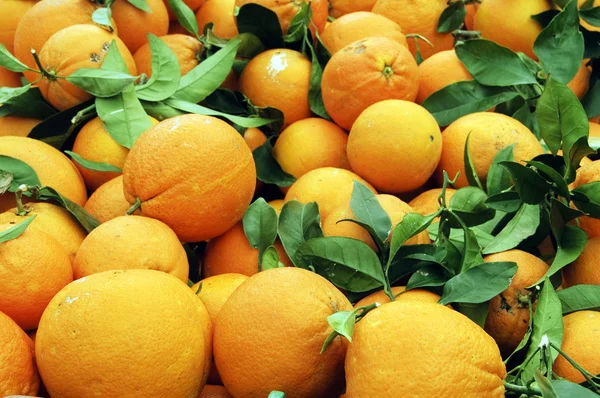 Mandarinas — 图库照片