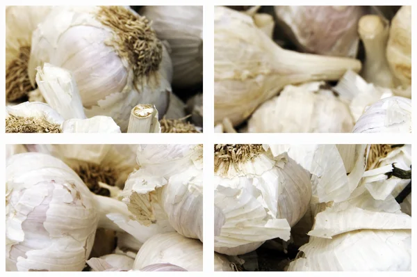 Garlics — Fotografie, imagine de stoc