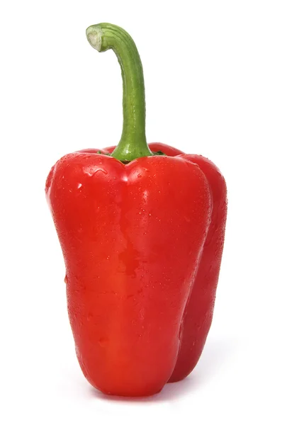 Pepper — Stock Photo, Image