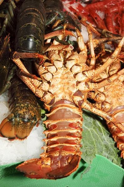 Lobsters — Stock Photo, Image