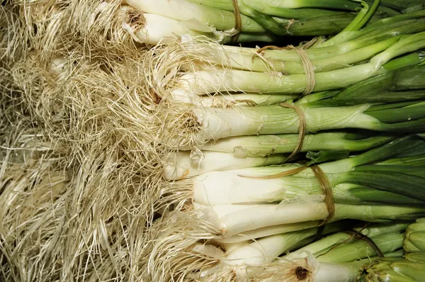 A pile of calcots, typical catalan sweet onions — Stock Photo, Image