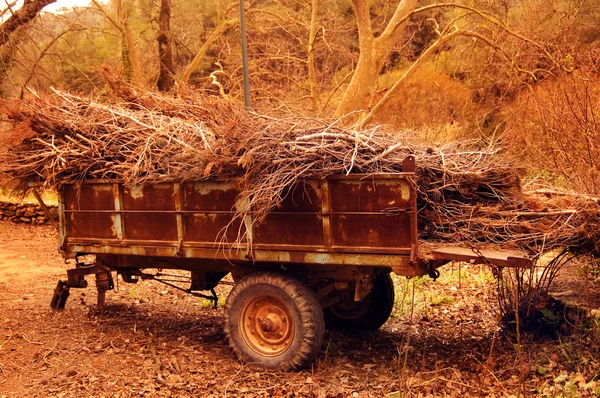 Brennholzwagen im Herbst — Stockfoto