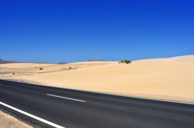 fuerteventura, İspanya bir Corralejo tepeleri doğal park