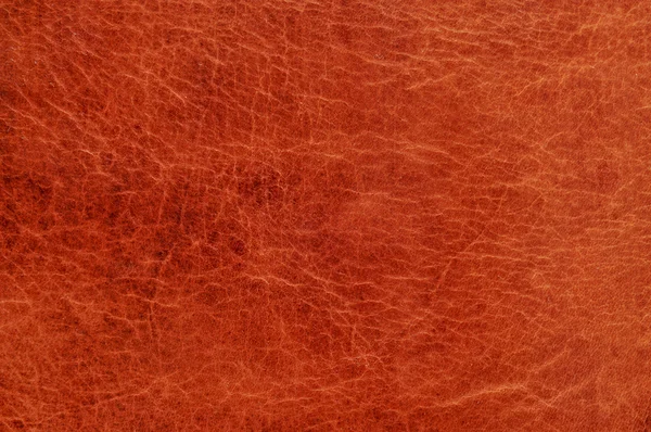 Brown leather texture — Stock Photo, Image