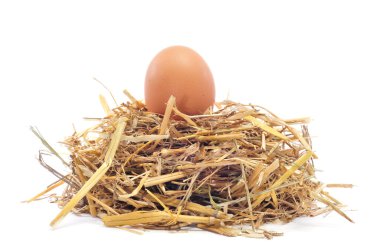 Brown egg in a nest clipart
