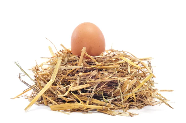 Brown egg in a nest — Stock Photo, Image