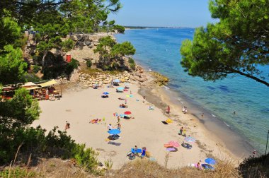 Cala dels Vienesos beach, in Miami Platja, Spain clipart