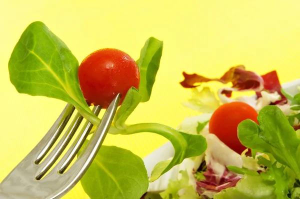 Piatto d'insalata — Foto Stock