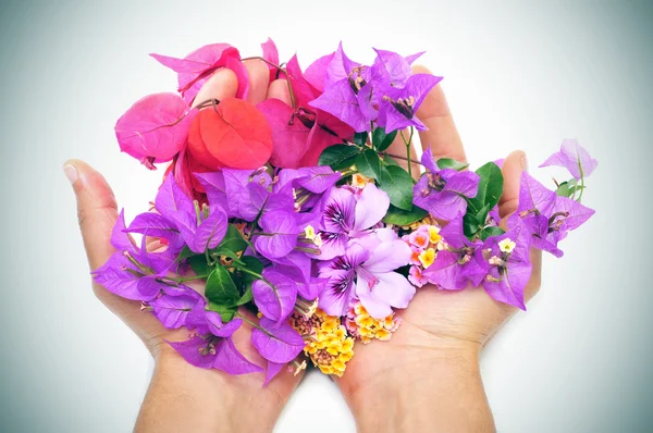 Ruce plné květin — Stock fotografie