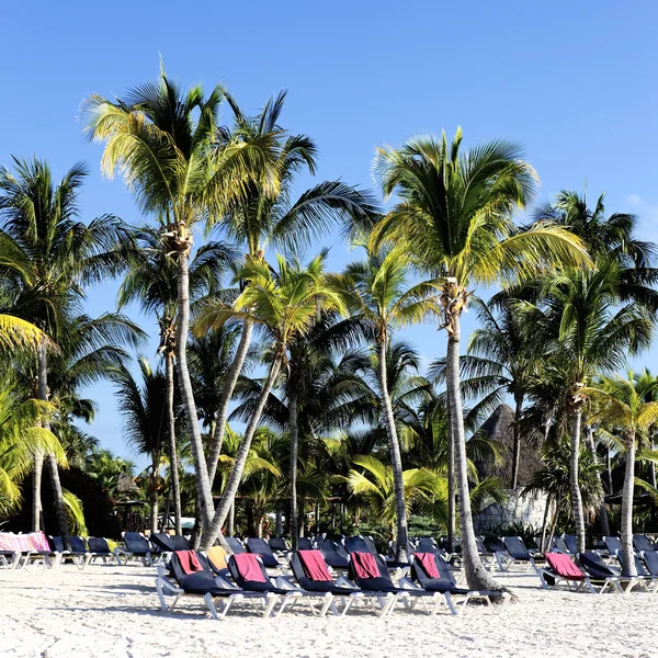 Riviera Maya playa tropical —  Fotos de Stock