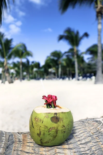 Bebida de coco de praia — Fotografia de Stock