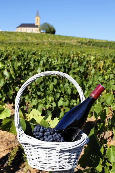 フランス ワイン — ストック写真