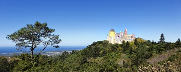 Panoramablick auf die Burg Pena — Stockfoto