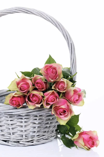 Růžové růže v košíku — Stock fotografie