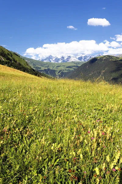 Weergave van de Savoyer Alpen-Europa — Stockfoto