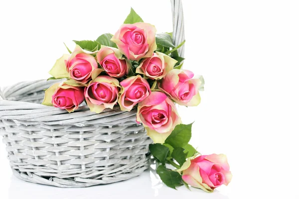 Pink roses in the Basket — Stock Photo, Image