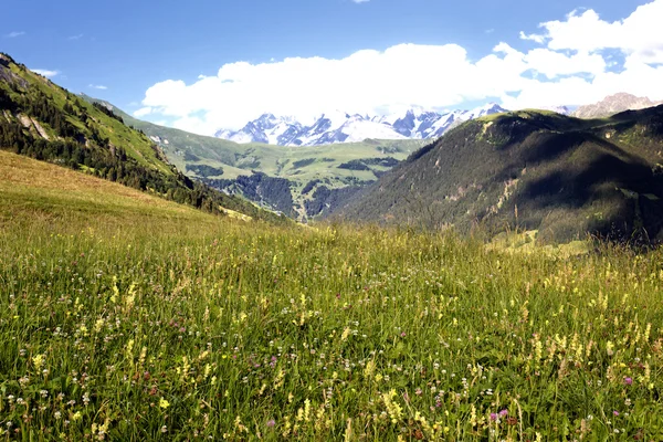 Савойские Альпы - Европа летом — стоковое фото