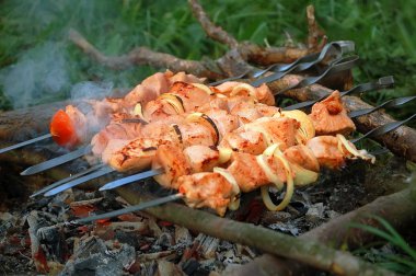 iştah açıcı suyu kebab.