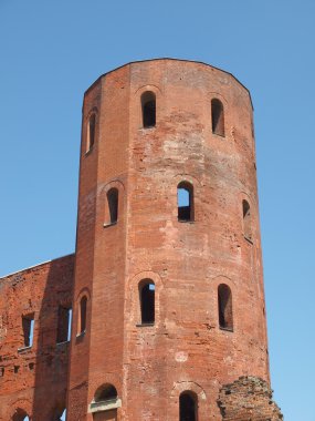 Torri palatine, Torino