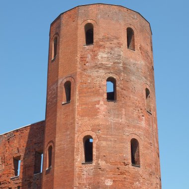 Torri palatine, Torino