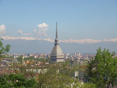 Turin görünümü