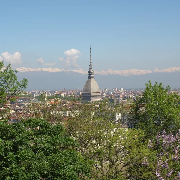 stock image Turin view
