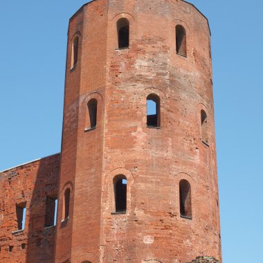 Torri palatine, Torino