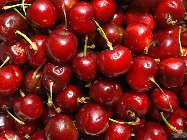 stock image Cherry