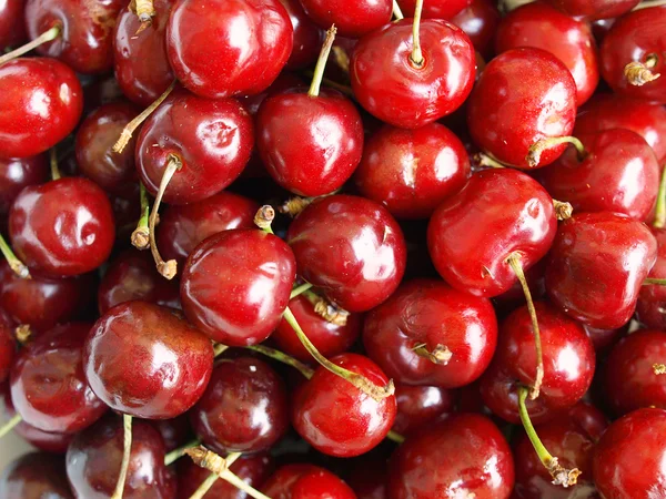 stock image Cherry