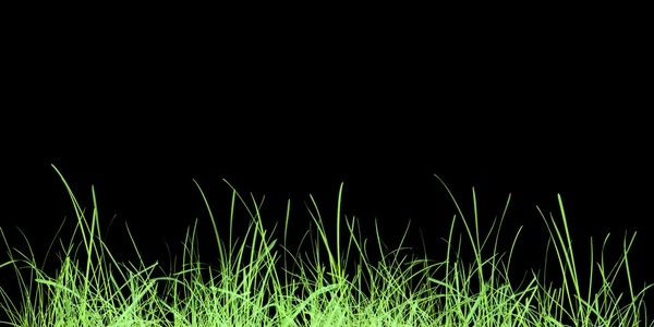 Prado de grama verde — Fotografia de Stock