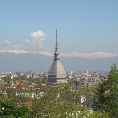 Turin görünümü