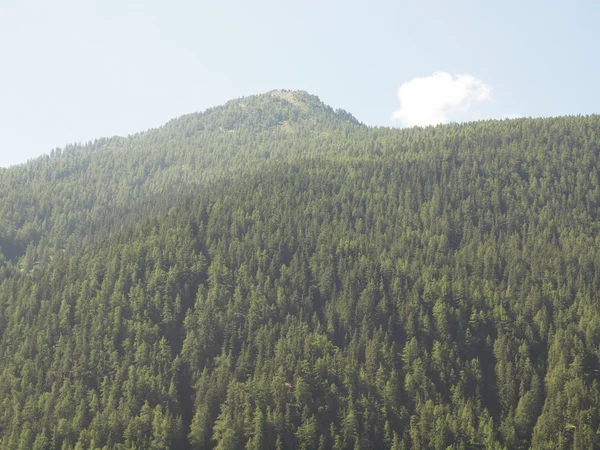 stock image Aosta Valley mountains