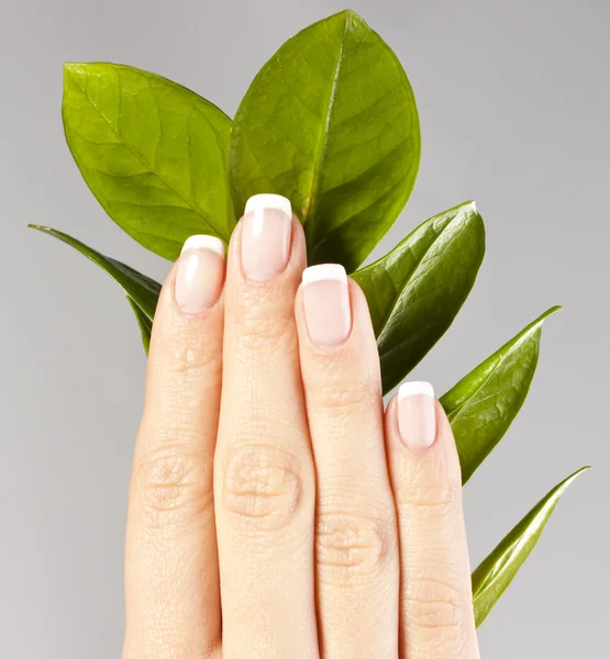 Vackra händer med fransk manikyr naglar — Stockfoto