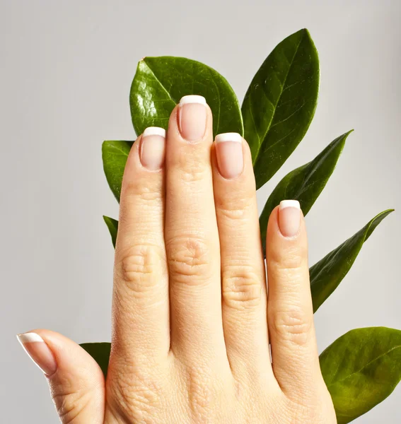 Belles mains avec des ongles de manucure français — Photo