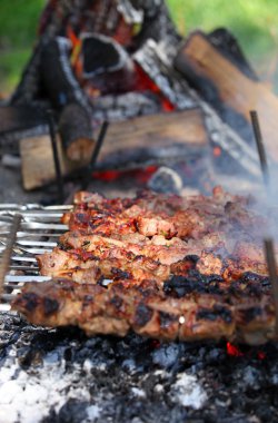 ateşe ızgara şiş kebap